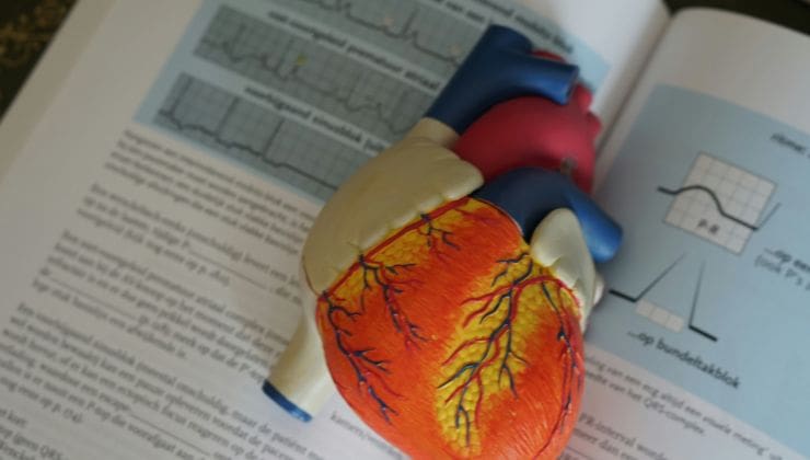 Our Cardiology Medical Billing Outsourcing Services